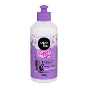 GELATINA HIDRA-DEFINICAO 320G