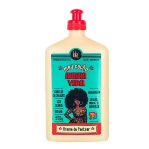 Memorizzatore Ricci Meu Cacho Minha Vida 500G